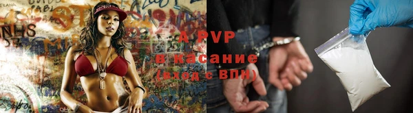 прущие грибы Абинск