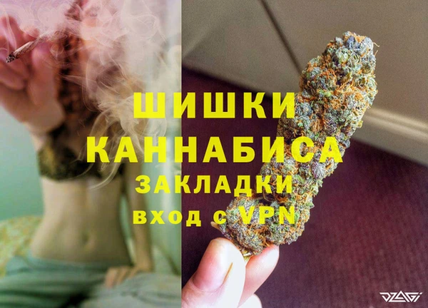 сатива Алзамай