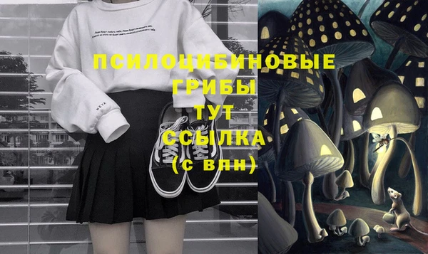 МДМА Алексин
